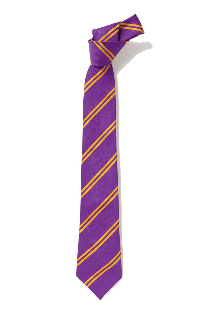DS135 PURPLE/GOLD TIE 52"