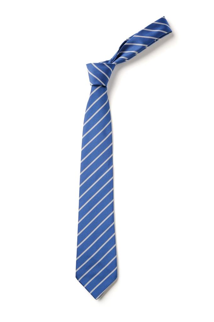TS30 ROYAL/SILVER TIE 52"