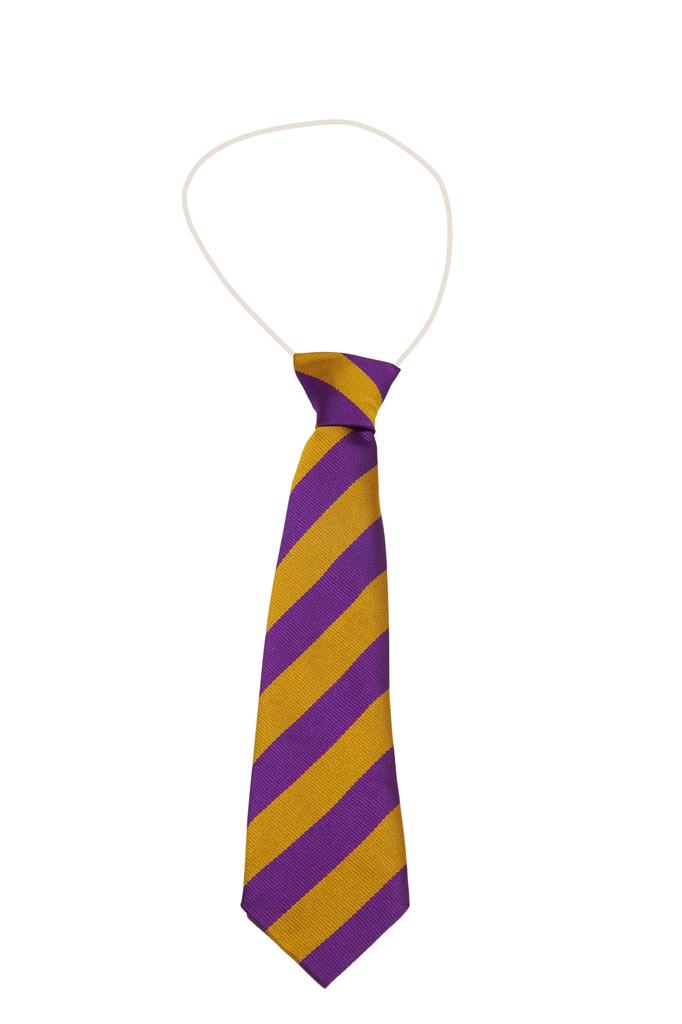 ECO BS85 PURPLE/GOLD TIE ELASTIC