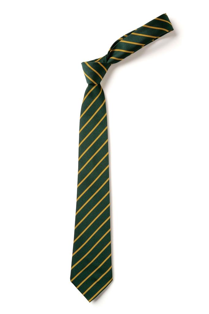 ECO TS11 GREEN/GOLD TIE 52"