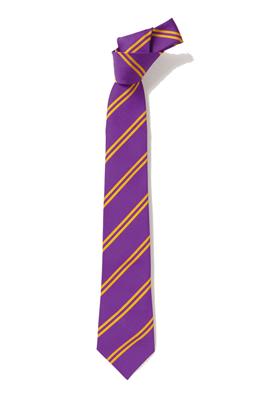 DS135 PURPLE/GOLD TIE 52"