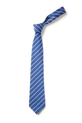 TS30 ROYAL/SILVER TIE 52"