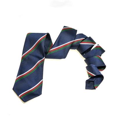 SENIOR SCHOOL 54" X 3" STRIPED TIE