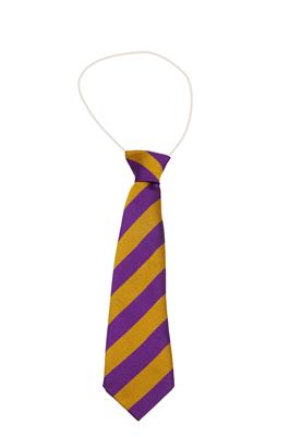 ECO BS85 PURPLE/GOLD TIE ELASTIC