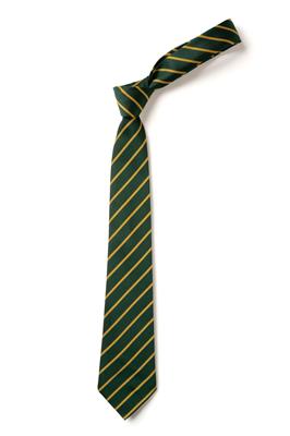 ECO TS11 GREEN/GOLD TIE 52"