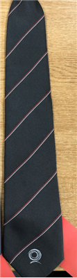 QUEENSLAND BOYS JUNIOR JACQUARD TIE