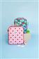ROAMIE LUNCH BAG 2027